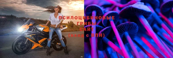 ешки Алексеевка