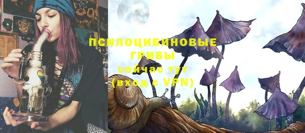 не бодяженный Алзамай